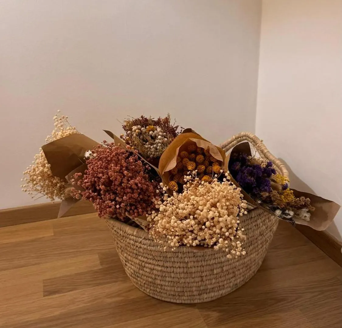 Laus Via Niccolo Putignani Cozy Apartment Bari